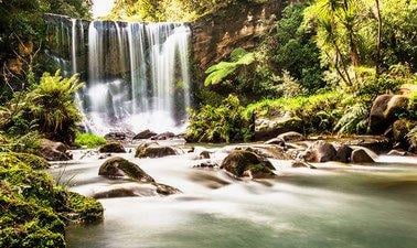 New Zealand Landscape as Culture: Wai (Water) (edX)