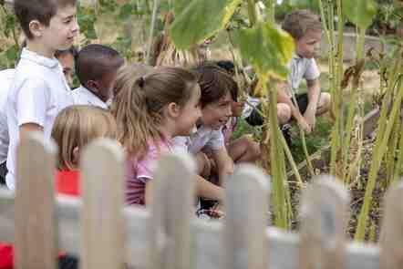 Supporting Successful Learning in Primary School (FutureLearn)