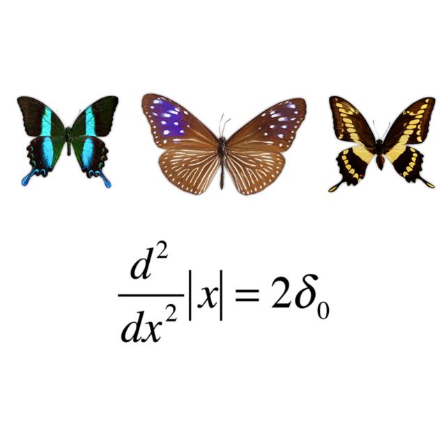 Initiation à la théorie des distributions (Coursera)