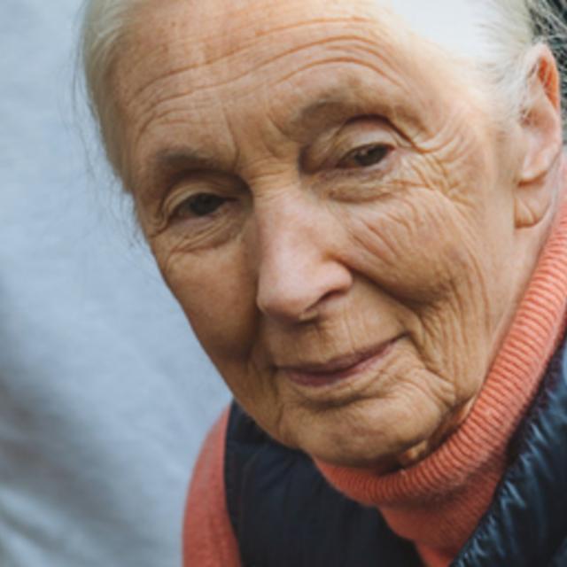 Compassionate Leadership Through Service Learning with Jane Goodall and Roots & Shoots (Coursera)