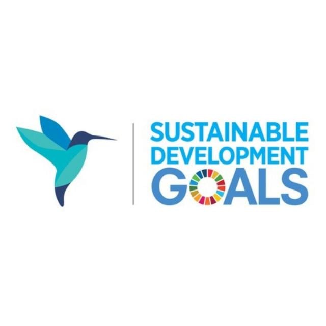 Driving business towards the Sustainable Development Goals (Coursera)