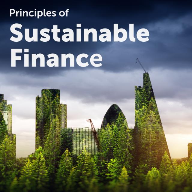 Principles of Sustainable Finance (Coursera)