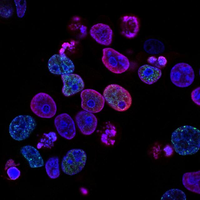 The Little Stuff: Energy, Cells, and Genetics (Coursera)