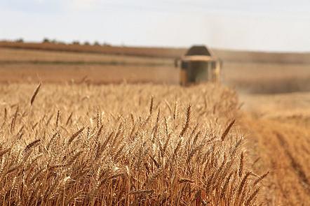 Innovation in Arable Farming: Technologies for Sustainable Farming Systems (FutureLearn)
