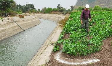 Irrigation Efficiency: more food with less water (edX)