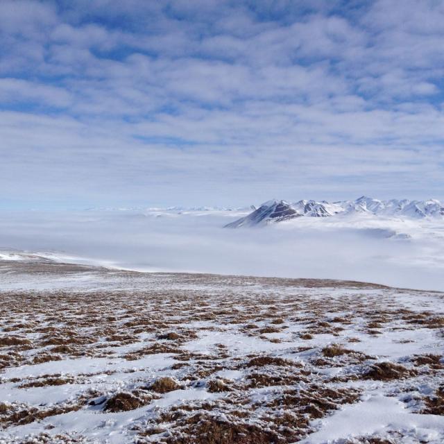 The Changing Arctic: Present, Past, & Future (Coursera)