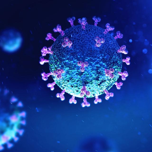 SARS-CoV-2 and acute respiratory viral infections (Coursera)