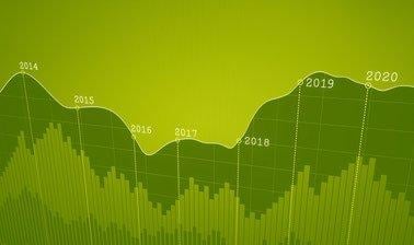 Public Sector Debt Statistics (edX)