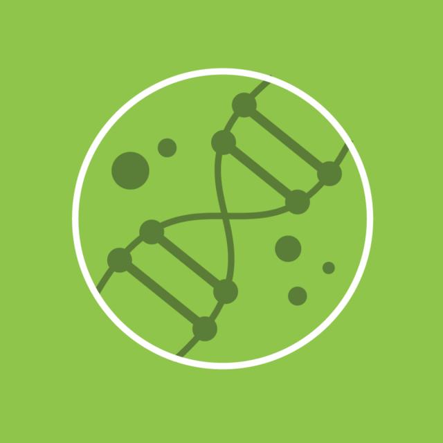 Algae Biotechnology (Coursera)