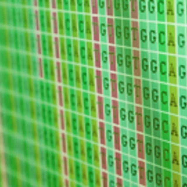 Plant Bioinformatics Capstone (Coursera)