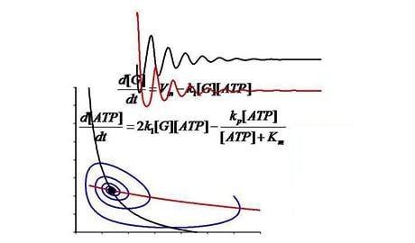 Dynamical Modeling Methods for Systems Biology (Coursera)