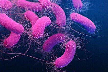 Challenges in Antibiotic Resistance: Non-Fermenting Gram Negative Bacteria (FutureLearn)