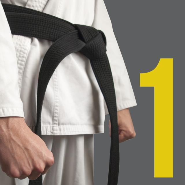 Organization Planning and Development for the 6 σ Black Belt (Coursera)