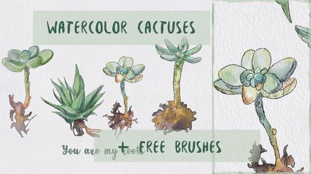 Watercolor cactuses in Procreate - digital illustration (Skillshare)