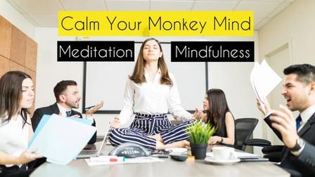 Calm Your Monkey Mind - Beginners Guide to Meditation (Skillshare)