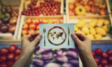 Plant Based Diets: Food for a Sustainable Future (edX)