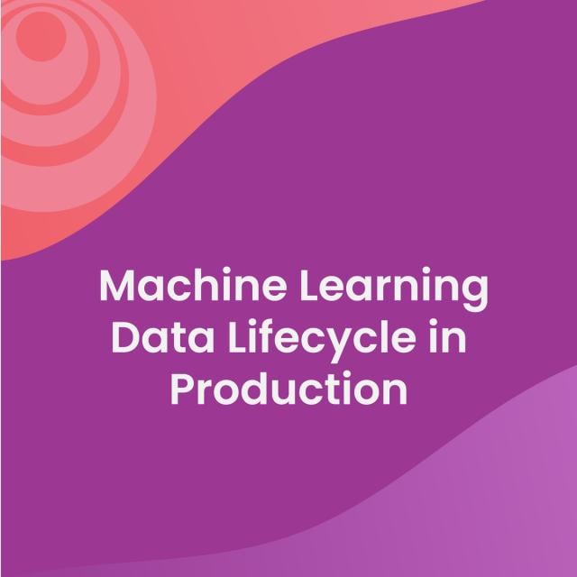 Machine Learning Data Lifecycle in Production (Coursera)