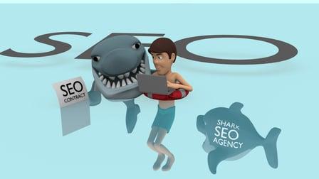 The Webmaxing SEO Basics Course (Skillshare)