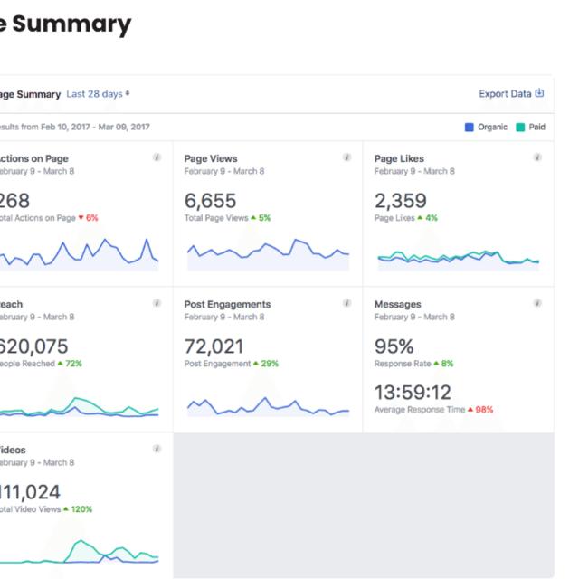 Measure a Marketing Strategy using Facebook Insights (Coursera)