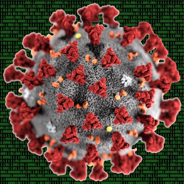 Hacking COVID-19 — Course 2: Decoding SARS-CoV-2's Secrets (Coursera)