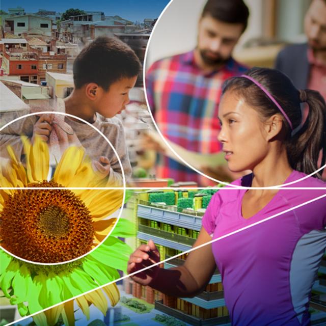 Urbanisation and Health - Promoting Sustainable Solutions (Coursera)