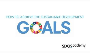 How to Achieve the Sustainable Development Goals (edX)