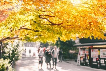Nature Connectedness with the University of Derby (FutureLearn)