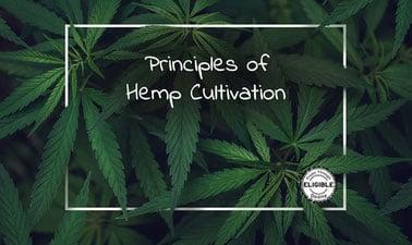 Principles of Hemp Cultivation (edX)