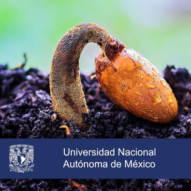 Agricultura urbana y periurbana (Coursera)