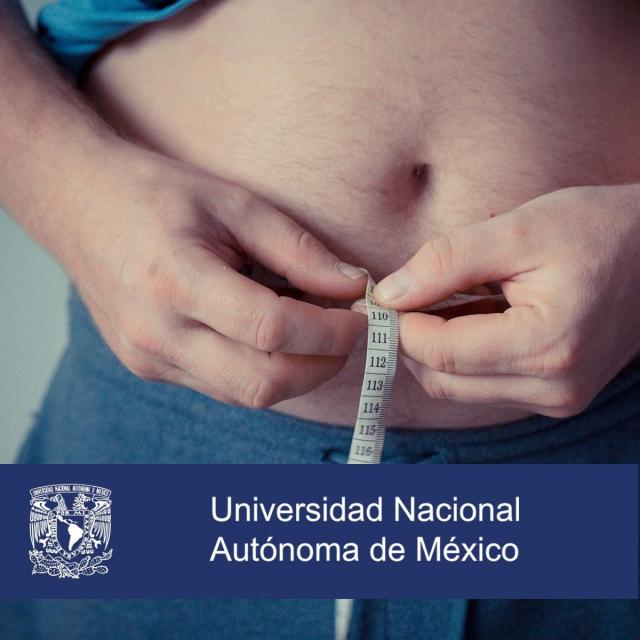 Nutrición y obesidad: control de sobrepeso (Coursera)