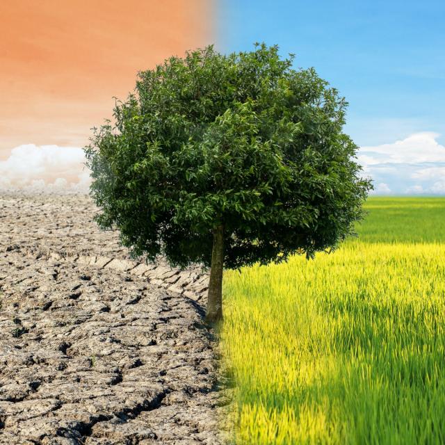 Science and Engineering of Climate Change (Coursera)