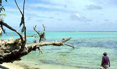 Tropical Coastal Ecosystems (edX)