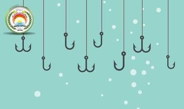 The Hook, the Bait, and the Fish: Approaches to Teaching Thinking (edX)