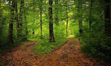 Pathways to Happiness (edX)
