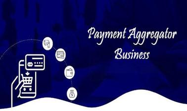 Payment Aggregator Business (edX)