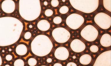 Microstructural Evolution of Materials Part 3: Surfaces & Surface-Driven Reactions (edX)