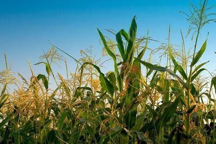 Global Food Security: Addressing the Challenge (FutureLearn)