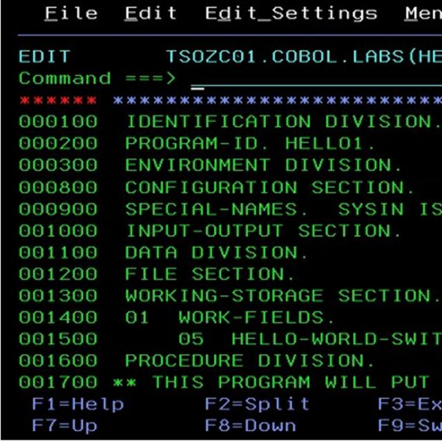 IBM COBOL Data and File Management (Coursera)