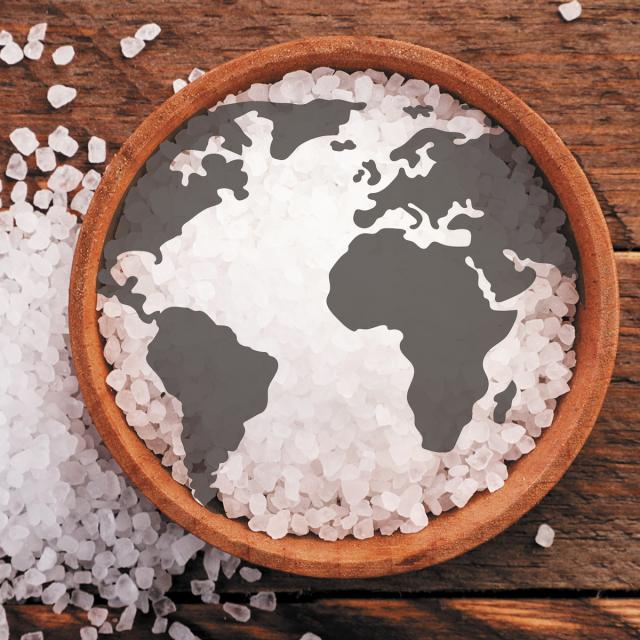 Global Sodium Reduction Strategies (Coursera)