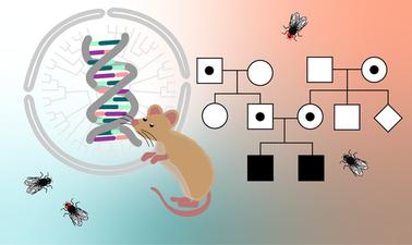 Genetics: The Fundamentals (edX)