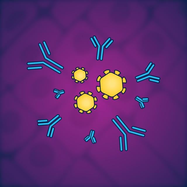 Immunology: Adaptive Immune System (Coursera)