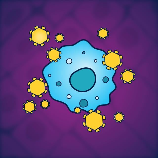 Immunology: Immune System and Infectious Diseases (Coursera)