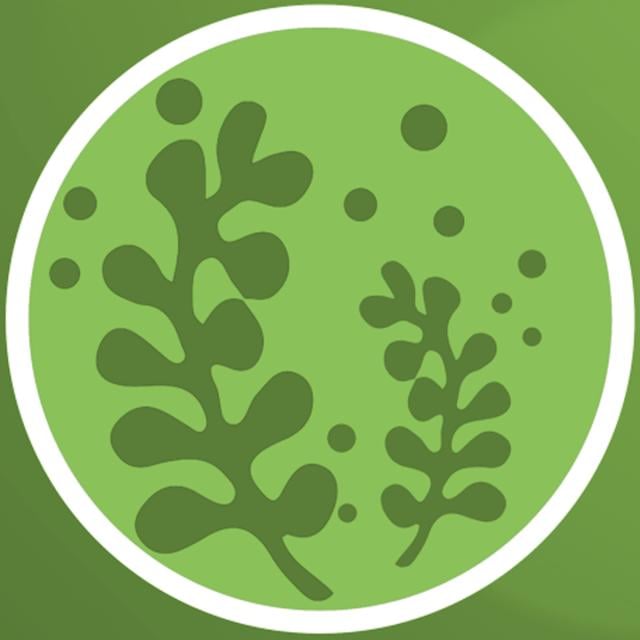 Introduction to Seaweeds (Coursera)