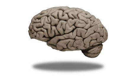 Medical Neuroscience (Coursera)