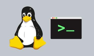 Linux Commands & Shell Scripting (edX)