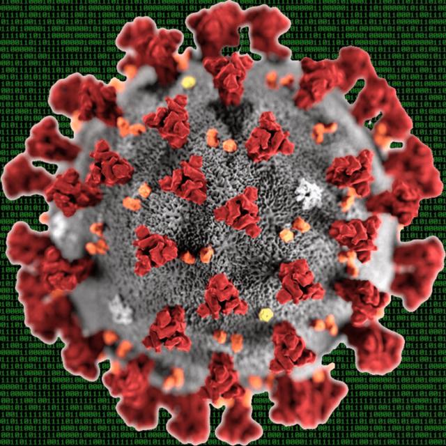 Hacking COVID-19: Metabolic Pathway Analysis Yields SARS-CoV-2 Drug Targets (Coursera)