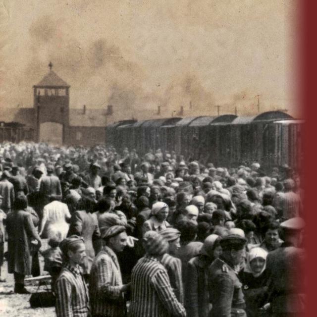 The Final Solution to the Jewish Question (Coursera)