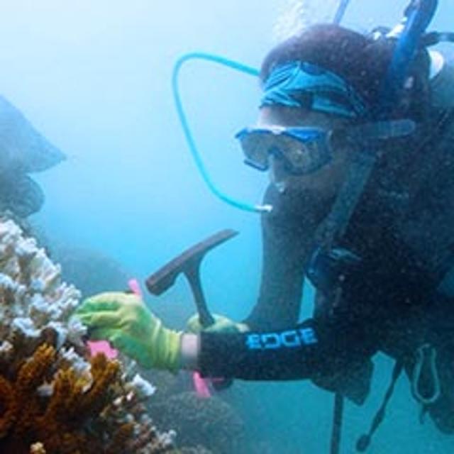 Marine Biology (Coursera) MOOC List Marine Biology (Coursera) MOOC List