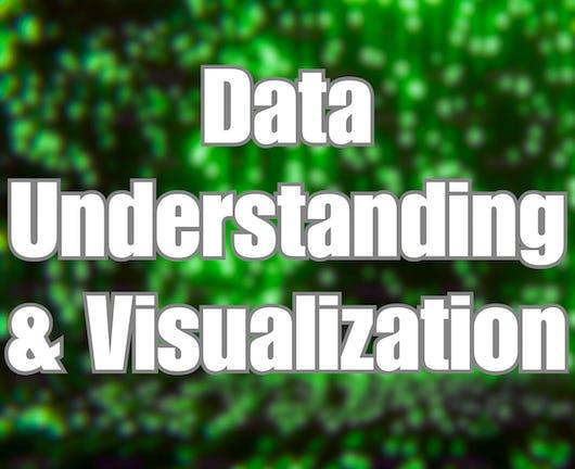 Data Understanding and Visualization (Coursera)