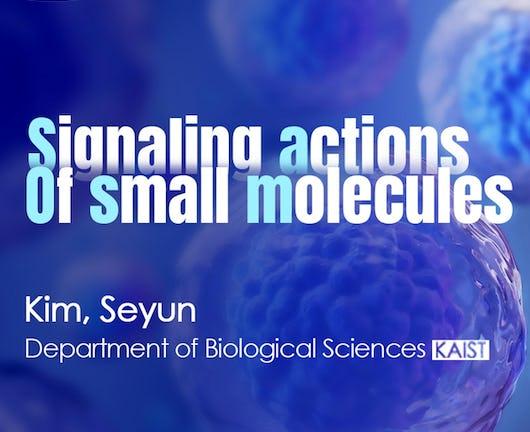 Signaling actions of small molecules (Coursera)